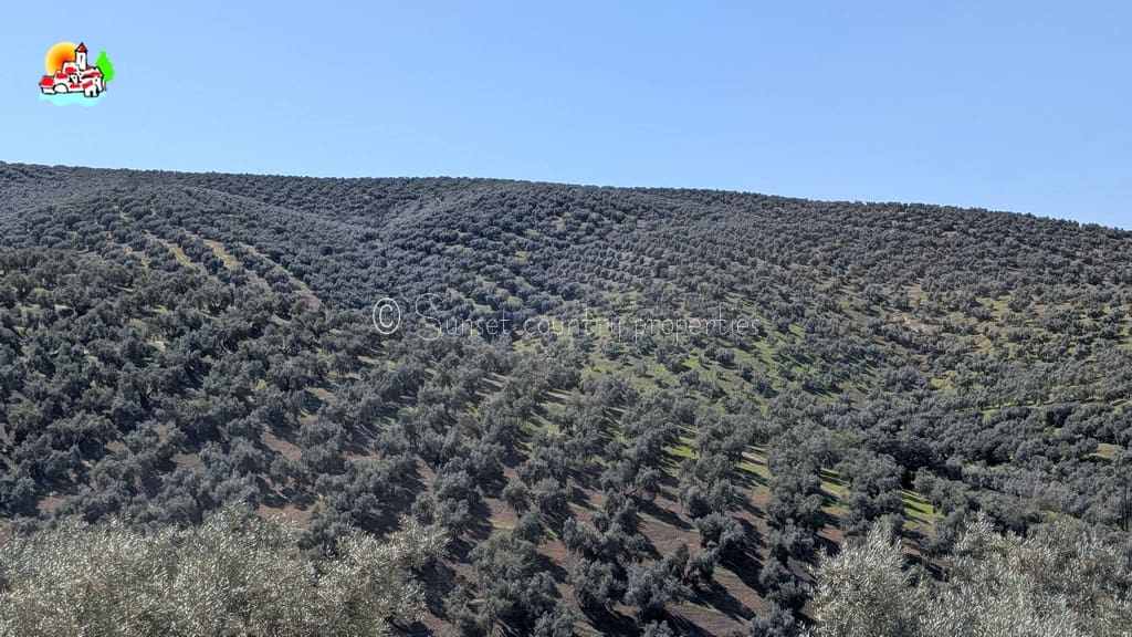 3 Zimmer Bungalow zu verkaufen in Villanueva de Algaidas mit Garage - 169.500 € (Ref: 9357504)