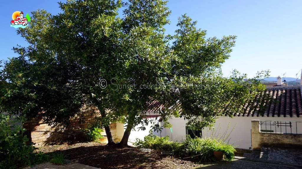 4 bedroom Townhouse for sale in Archidona - € 145,000 (Ref: 9714151)