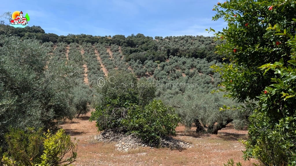 Finca/Casa Rural de 6 habitaciones en Iznájar en venta con piscina garaje - 449.950 € (Ref: 9877023)