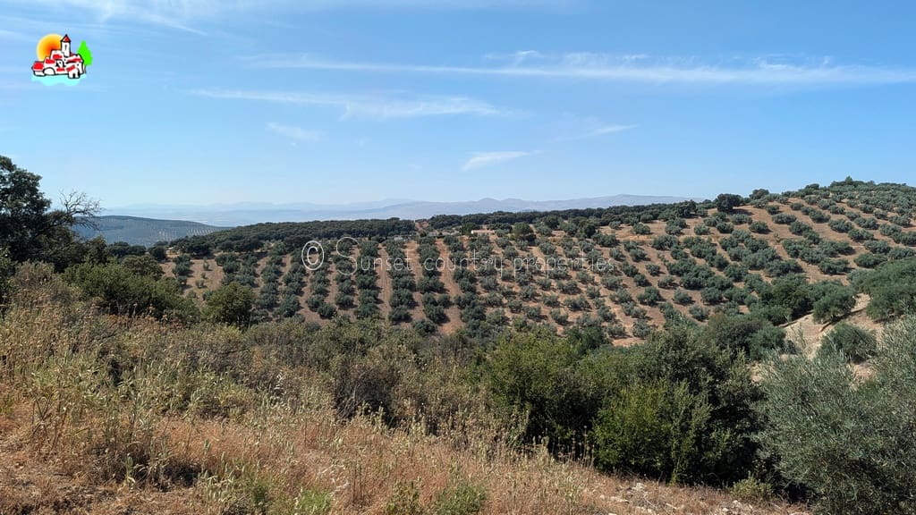 4 quarto Quinta/Casa Rural para venda em Ventorros de San Jose com piscina garagem - 399 000 € (Ref: 9952867)
