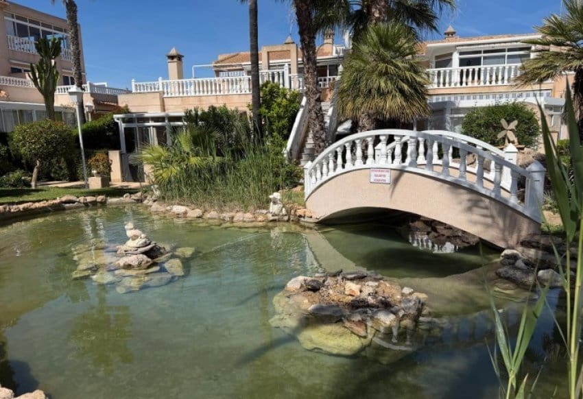2 sovrum Lägenhet till salu i Playa Flamenca med pool - 319 900 € (Ref: 9897138)
