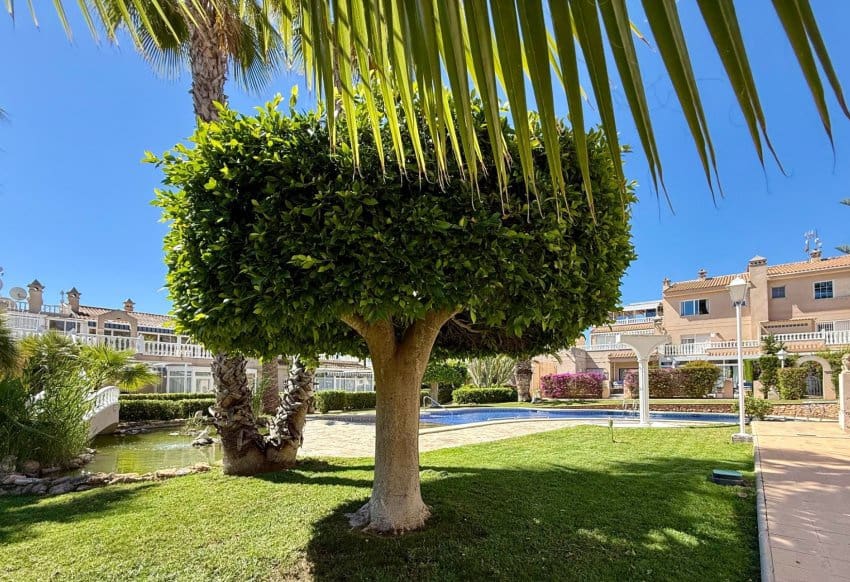 2 sovrum Lägenhet till salu i Playa Flamenca med pool - 319 900 € (Ref: 9897138)