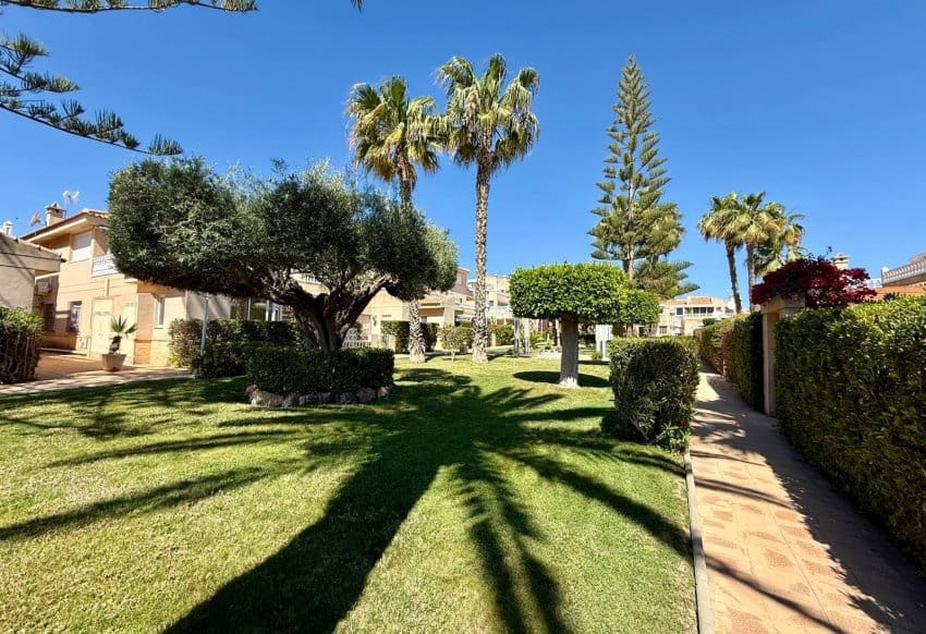 2 sovrum Lägenhet till salu i Playa Flamenca med pool - 319 900 € (Ref: 9897138)