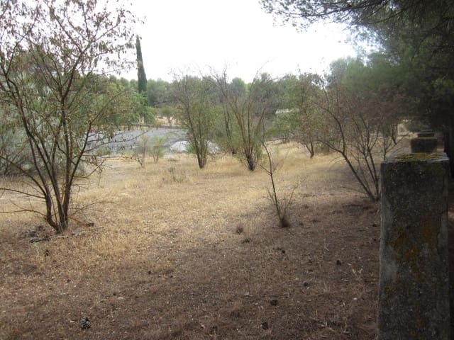 Tomt till salu i Arenas del Rey - 79 000 € (Ref: 4510675)