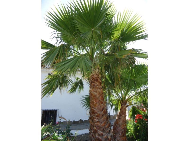 4 slaapkamer Villa te koop in Torrox - € 378.000 (Ref: 4510710)