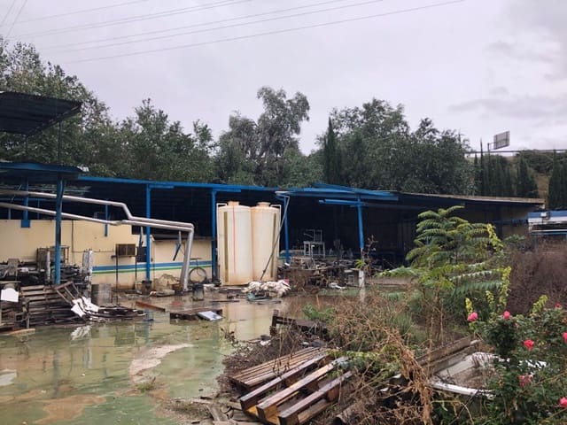 Commercial for sale in Loja - € 550,000 (Ref: 4510754)