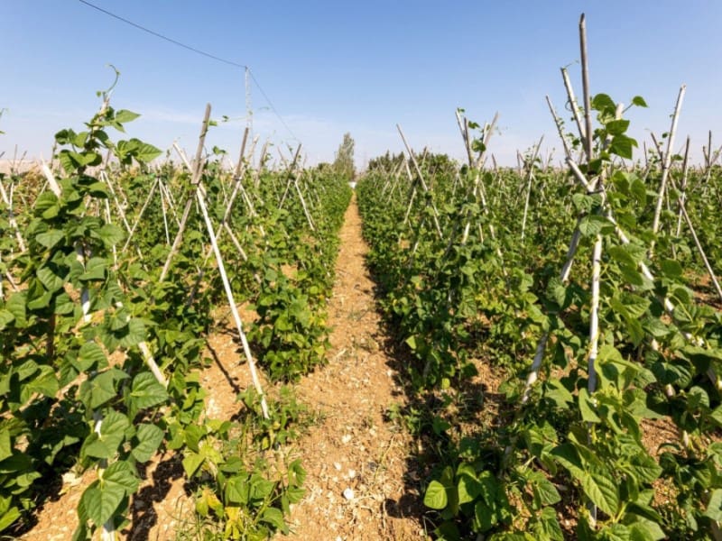 3 bedroom Townhouse for sale in Alhama de Granada with garage - € 269,000 (Ref: 4873874)