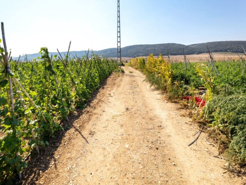 3 bedroom Townhouse for sale in Alhama de Granada with garage - € 269,000 (Ref: 4873874)