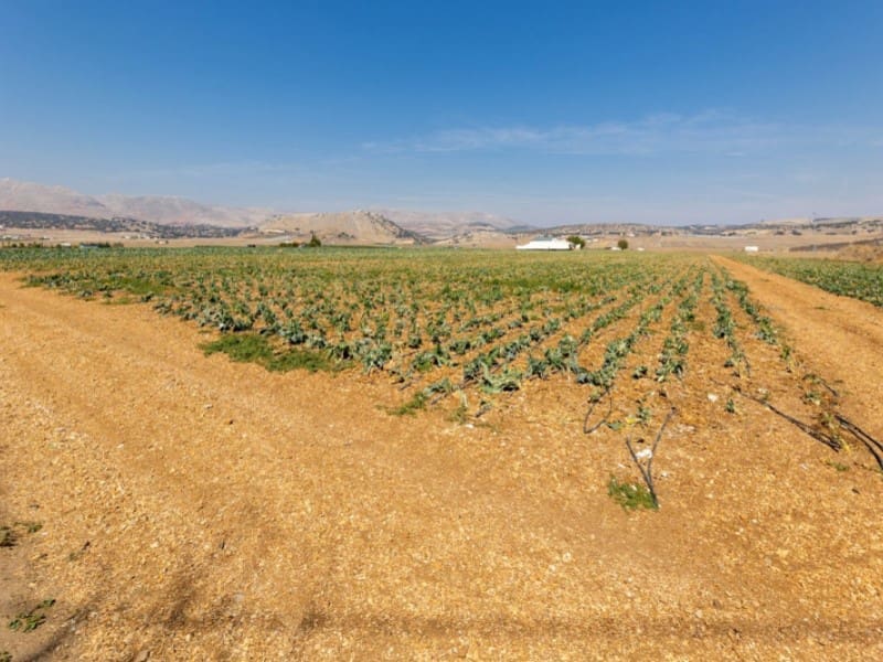 3 bedroom Townhouse for sale in Alhama de Granada with garage - € 269,000 (Ref: 4873874)