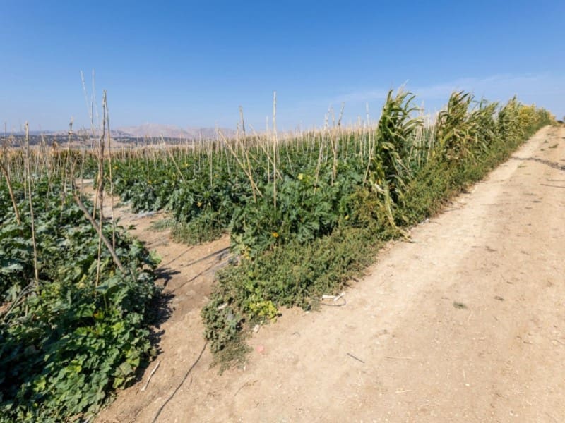 3 bedroom Townhouse for sale in Alhama de Granada with garage - € 269,000 (Ref: 4873874)