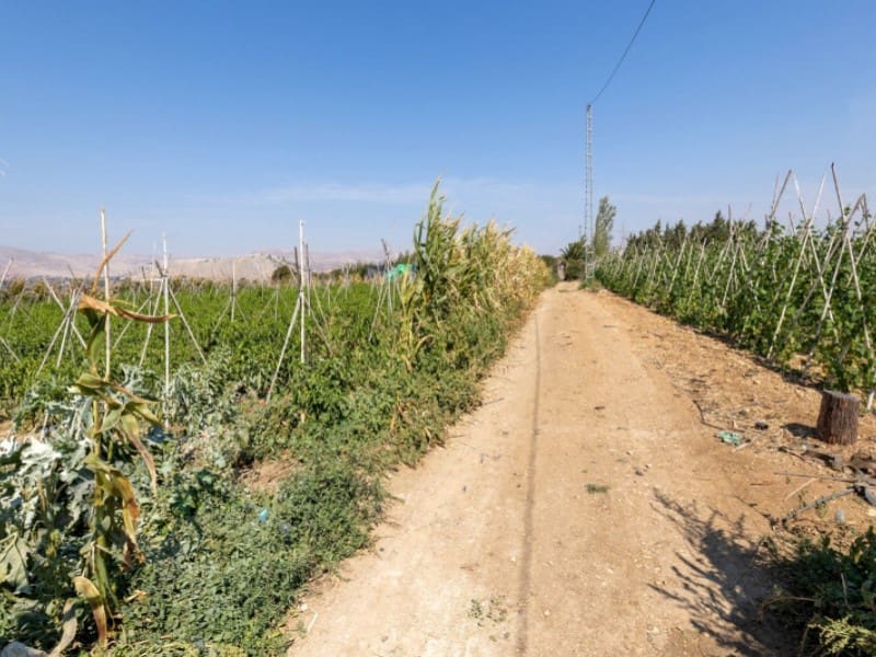 3 bedroom Townhouse for sale in Alhama de Granada with garage - € 269,000 (Ref: 4873874)