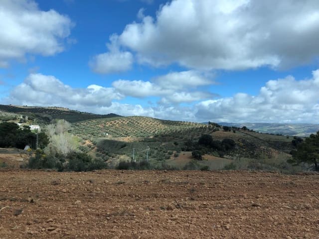 Grunde uden byggetilladelser til salg i Arenas del Rey - € 89.000 (Ref: 5630215)