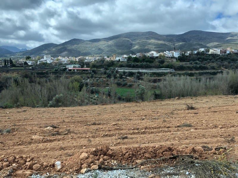 Undeveloped Land for sale in Arenas del Rey - € 89,000 (Ref: 5630215)