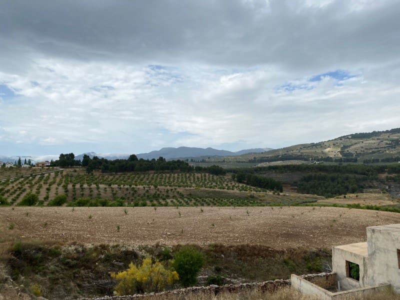 6 soverom Finca/Herregård til salgs i Arenas del Rey - € 159 000 (Ref: 6140564)