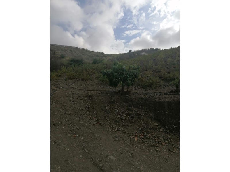 Teren niezagospodarowany na sprzedaż w Vinuela - 120 000 € (Ref: 6362136)