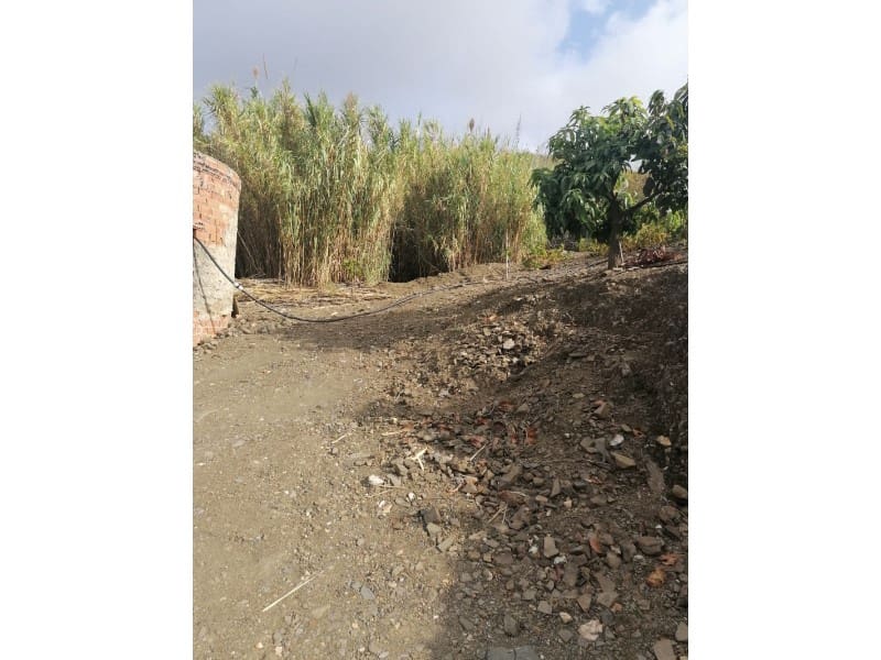 Teren niezagospodarowany na sprzedaż w Vinuela - 120 000 € (Ref: 6362136)