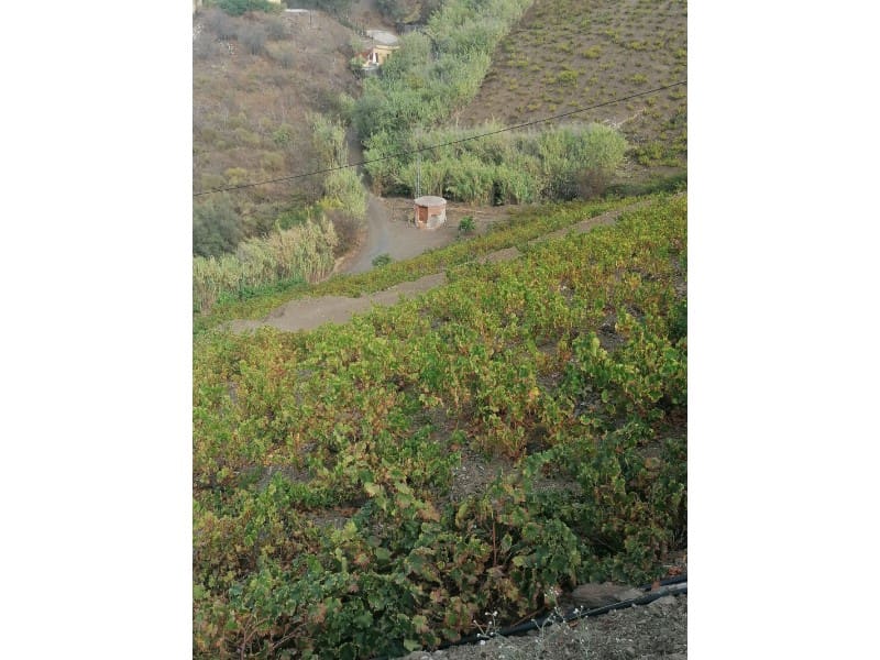 Teren niezagospodarowany na sprzedaż w Vinuela - 120 000 € (Ref: 6362136)