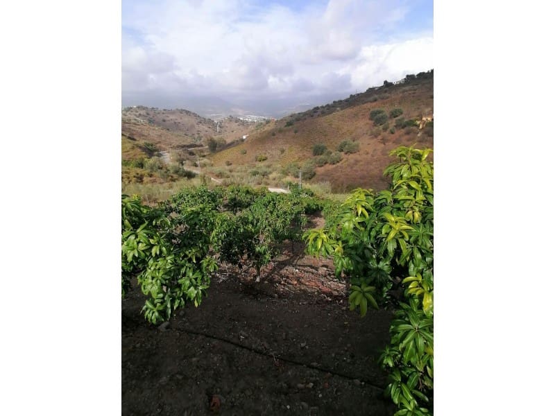 Teren niezagospodarowany na sprzedaż w Vinuela - 120 000 € (Ref: 6362136)