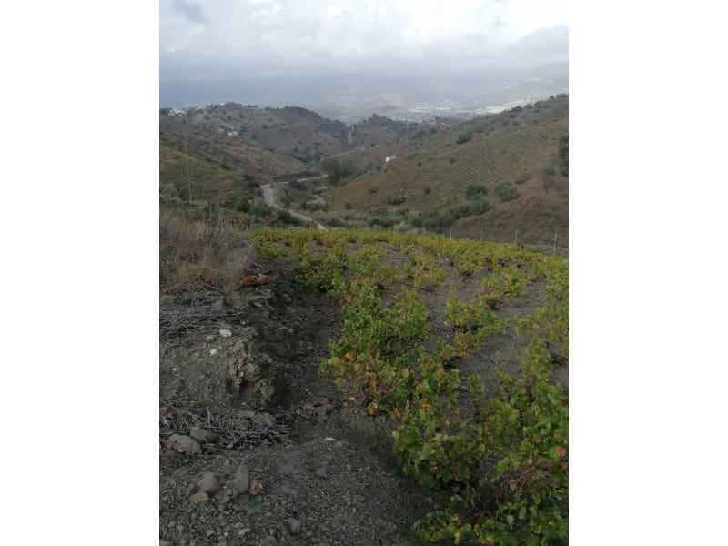 Teren niezagospodarowany na sprzedaż w Vinuela - 120 000 € (Ref: 6362136)