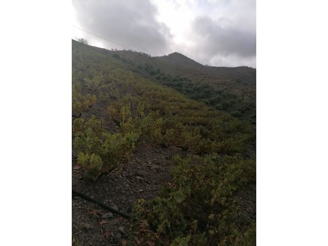 Grond te koop in Viñuela - € 120.000 (Ref: 6362136)