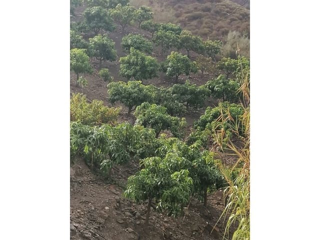 Grond te koop in Viñuela - € 120.000 (Ref: 6362136)