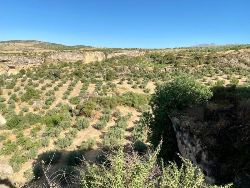 Area Edificabile in vendita in Alhama de Granada - 80.000 € (Rif: 6923943)