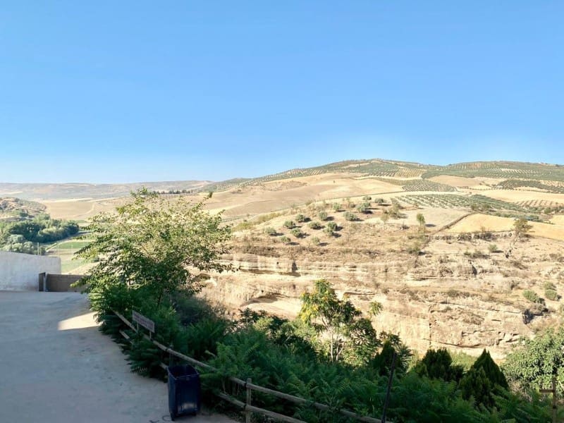 5 bedroom Townhouse for sale in Alhama de Granada - € 99,000 (Ref: 7037697)