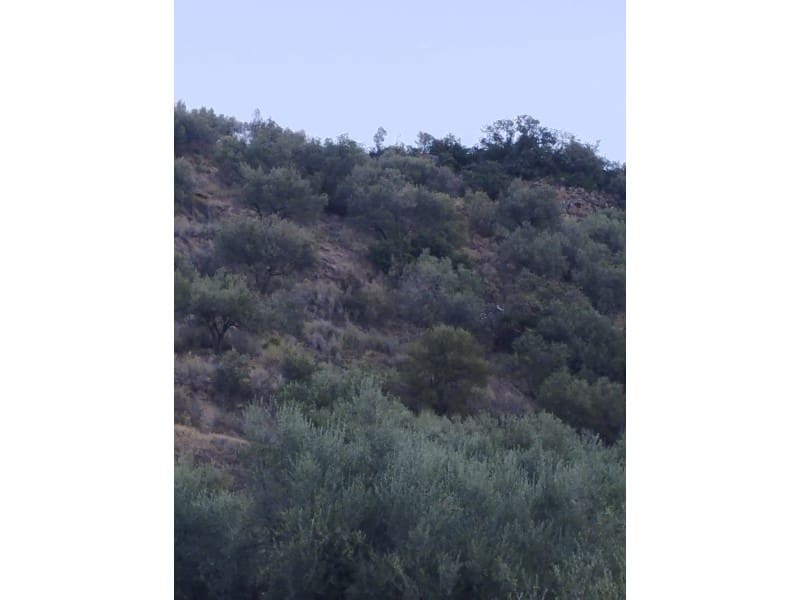 Maalaistalo myytävänä paikassa Alcaucin - 65 000 € (Ref: 7165177)