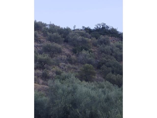 Finca/Casa di Campagna in vendita in Alcaucín - 65.000 € (Rif: 7165177)