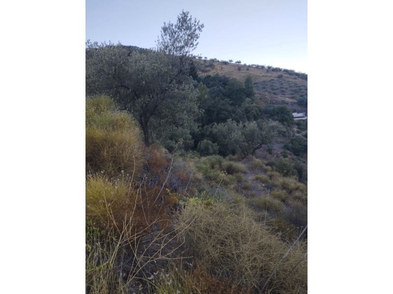 Maalaistalo myytävänä paikassa Alcaucin - 65 000 € (Ref: 7165177)