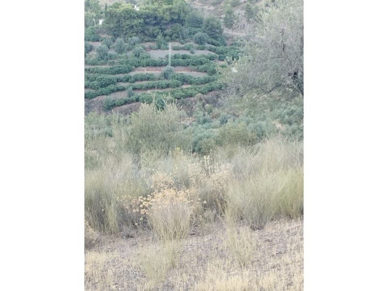 Maalaistalo myytävänä paikassa Alcaucin - 65 000 € (Ref: 7165177)