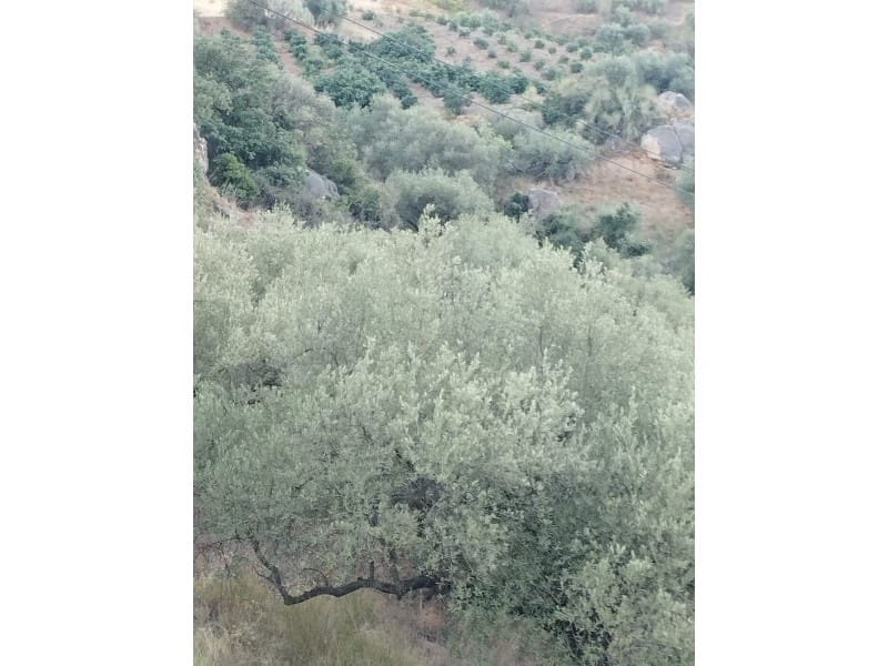 Maalaistalo myytävänä paikassa Alcaucin - 65 000 € (Ref: 7165177)