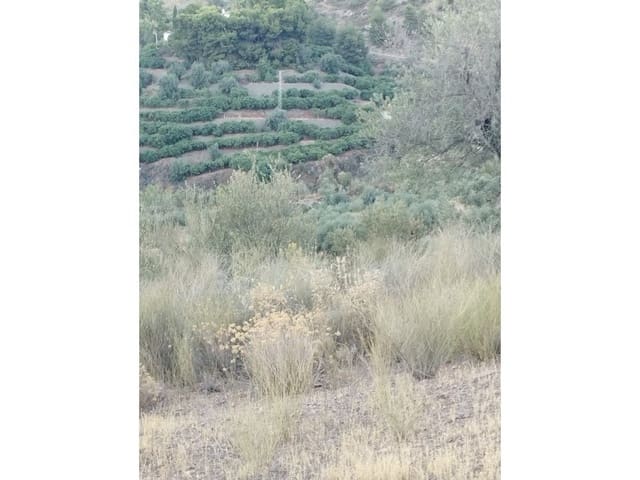 Finca/Casa di Campagna in vendita in Alcaucín - 65.000 € (Rif: 7165177)