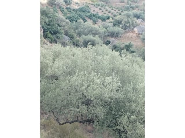 Finca/Casa di Campagna in vendita in Alcaucín - 65.000 € (Rif: 7165177)