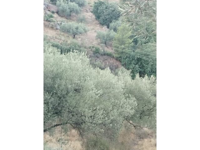 Finca/Casa di Campagna in vendita in Alcaucín - 65.000 € (Rif: 7165177)