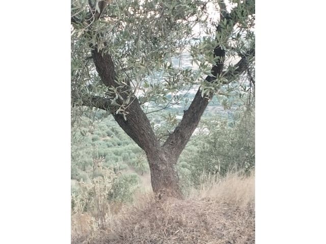 Finca/Casa di Campagna in vendita in Alcaucín - 65.000 € (Rif: 7165177)