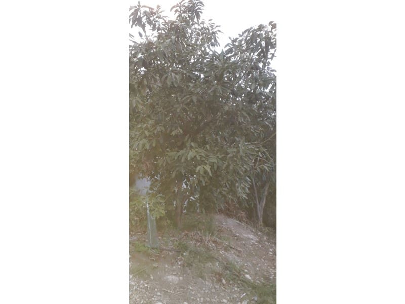 Finka/Dom wiejski na sprzedaż w Frigiliana - 129 000 € (Ref: 7255247)