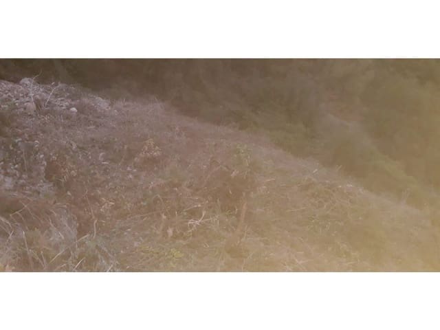 Finka/Dom wiejski na sprzedaż w Frigiliana - 129 000 € (Ref: 7255247)