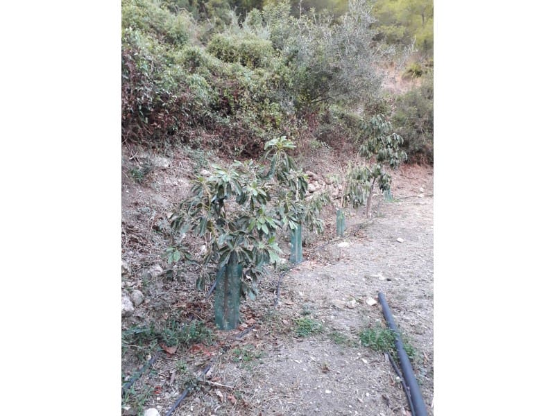 Finka/Dom wiejski na sprzedaż w Frigiliana - 129 000 € (Ref: 7255247)