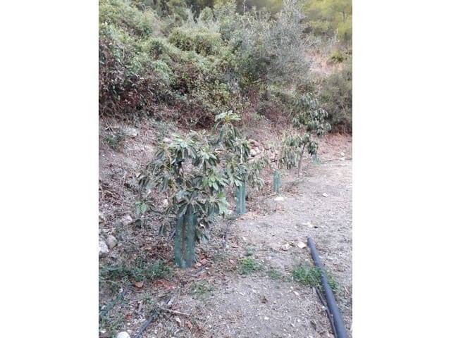 Finka/Dom wiejski na sprzedaż w Frigiliana - 129 000 € (Ref: 7255247)