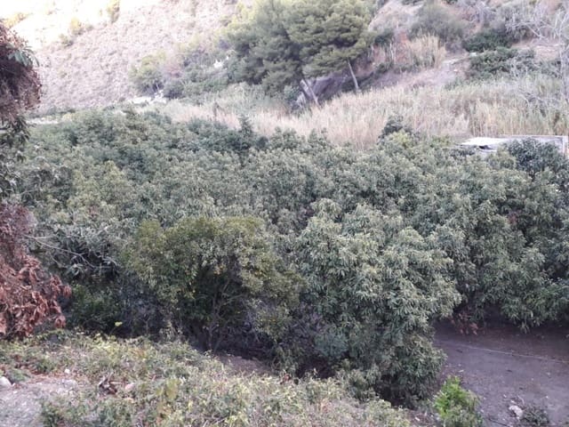 Finka/Dom wiejski na sprzedaż w Frigiliana - 129 000 € (Ref: 7255247)