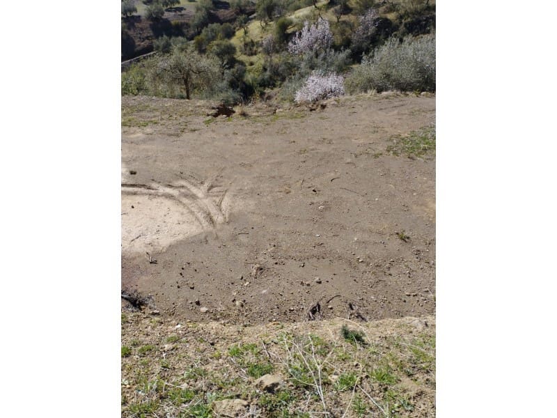 Finca/Country House for sale in Riogordo - € 40,000 (Ref: 7369650)