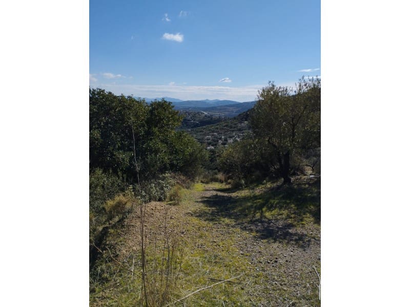 Finca/Country House for sale in Riogordo - € 40,000 (Ref: 7369650)