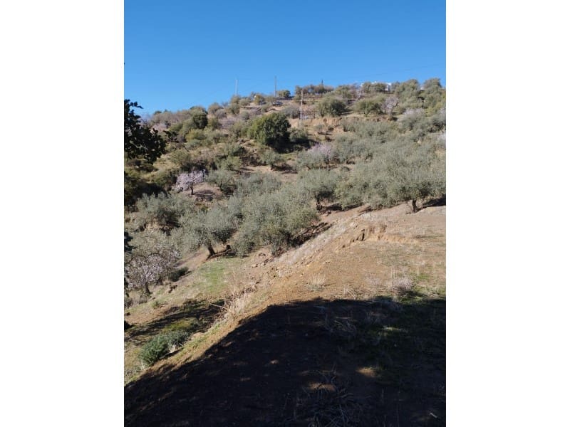 Finca/Country House for sale in Riogordo - € 40,000 (Ref: 7369650)