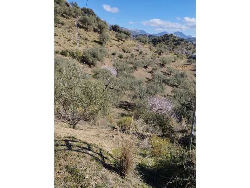 Finca/Country House for sale in Riogordo - € 40,000 (Ref: 7369650)