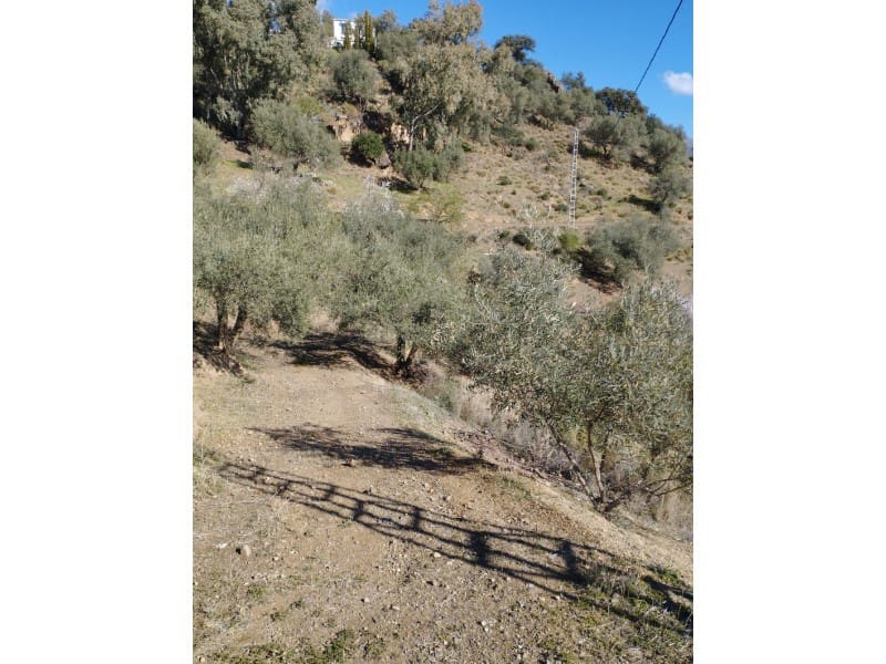 Finca/Country House for sale in Riogordo - € 40,000 (Ref: 7369650)