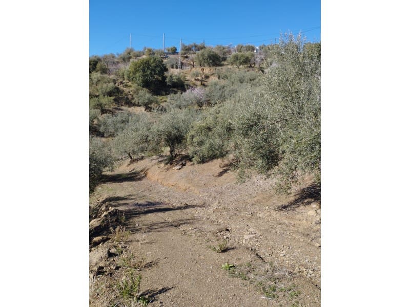 Finca/Country House for sale in Riogordo - € 40,000 (Ref: 7369650)