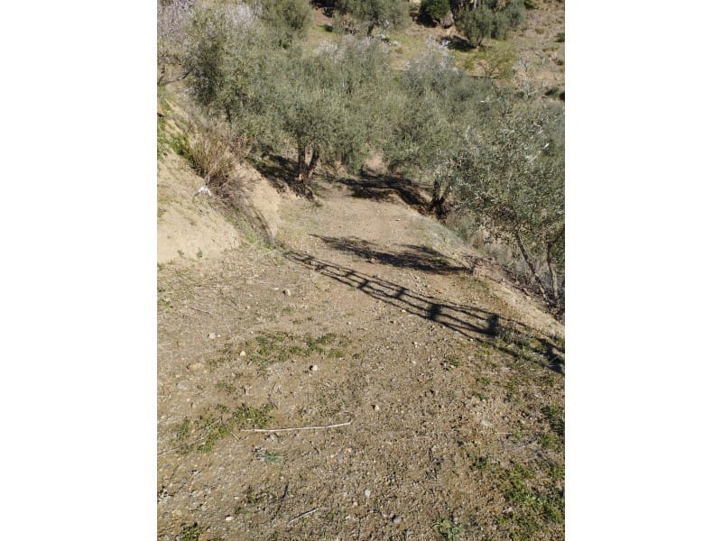 Finca/Country House for sale in Riogordo - € 40,000 (Ref: 7369650)