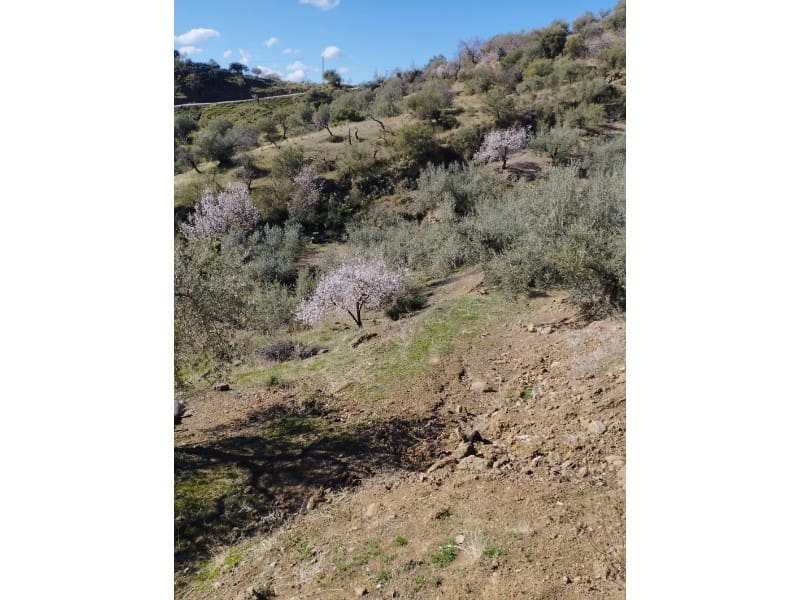 Finca/Country House for sale in Riogordo - € 40,000 (Ref: 7369650)