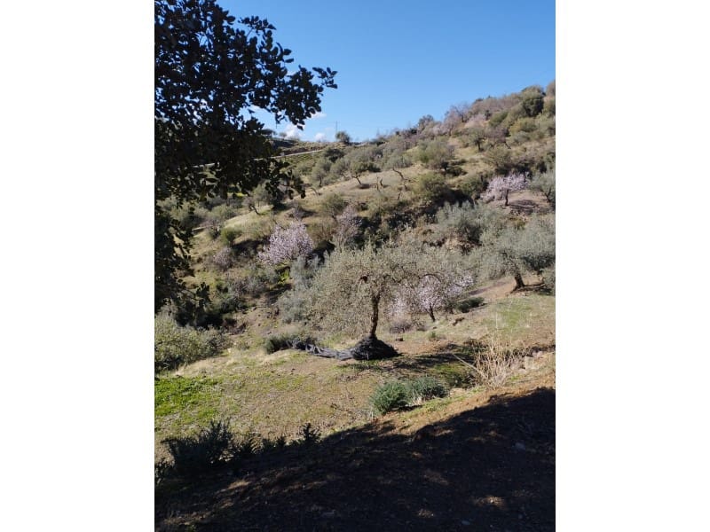 Finca/Country House for sale in Riogordo - € 40,000 (Ref: 7369650)